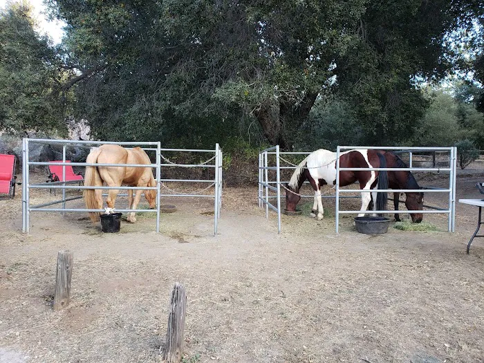 Green Valley Horse Camp Picture 4
