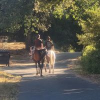 Green Valley Horse Camp ico