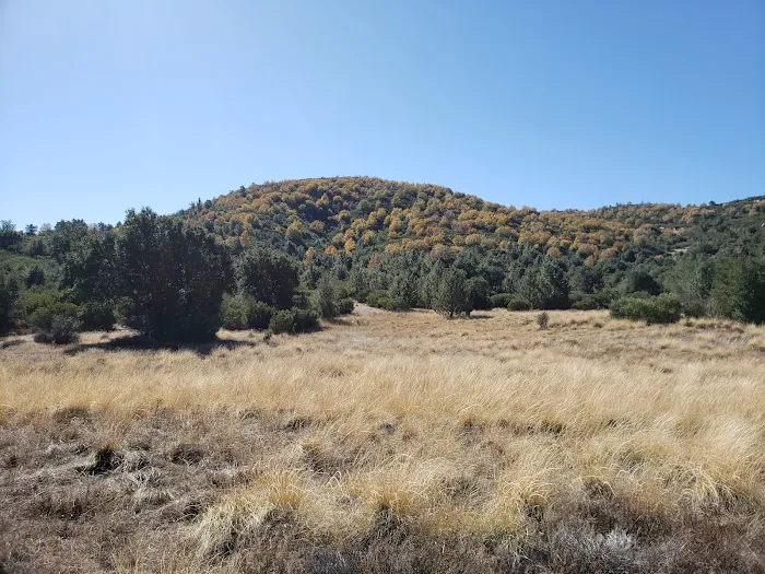 Green Valley Horse Camp Picture 5