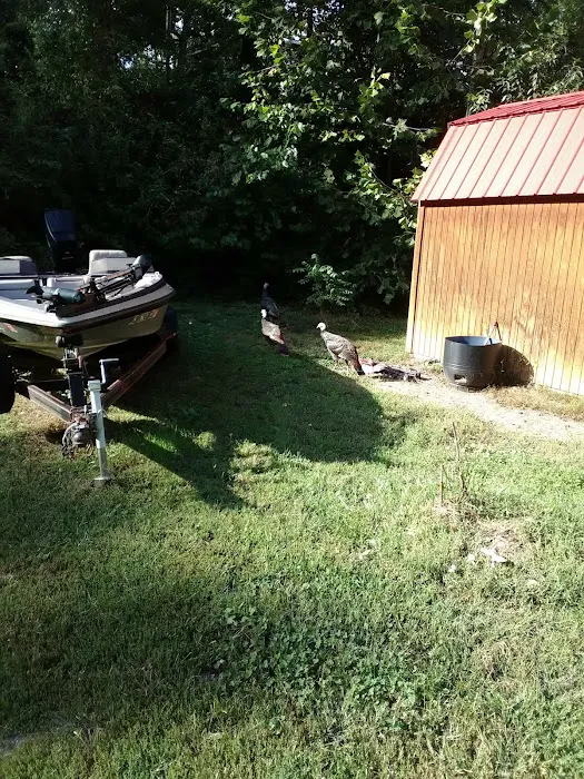 Oteen Trailer Park Picture 2