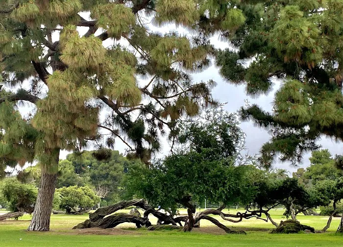 Paradise point beach Picture 5