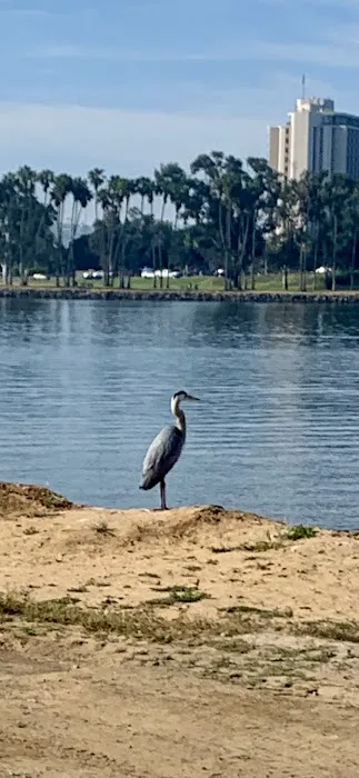 Paradise point beach Picture 1
