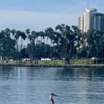 Paradise point beach