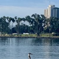 Paradise point beach ico