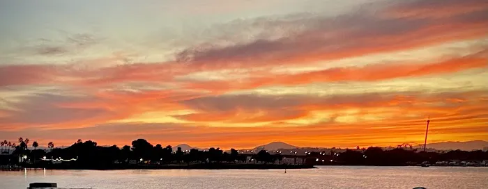 Paradise point beach Picture 6