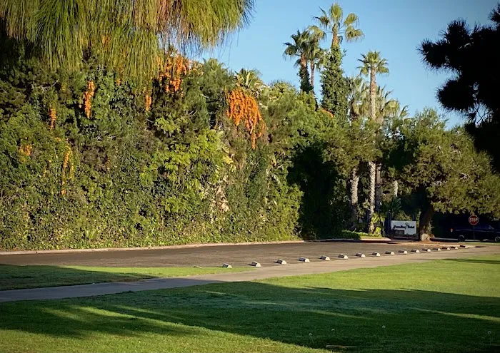 Paradise point beach Picture 9