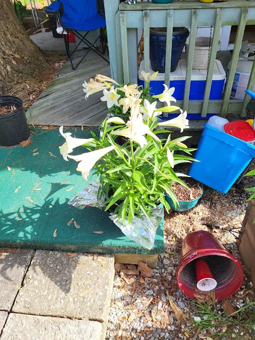 Hendersonville RETIREMENT Mobile Estates Picture 5