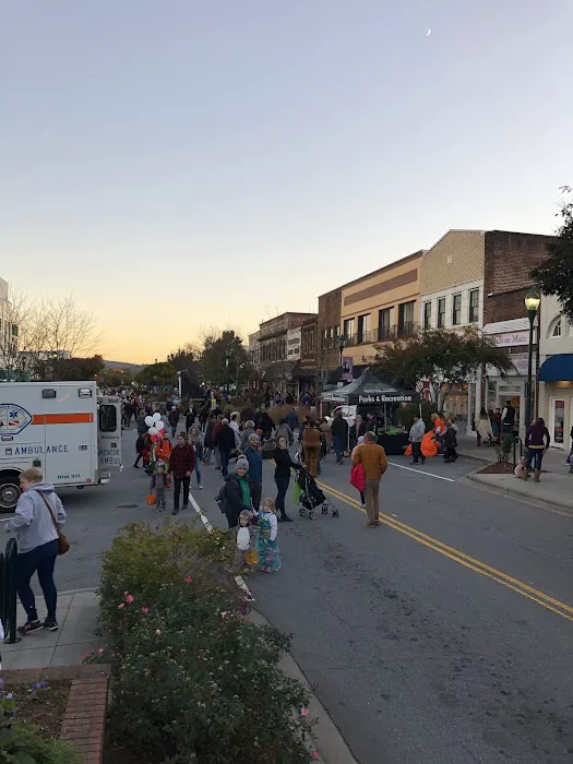 Hendersonville RETIREMENT Mobile Estates Picture 4