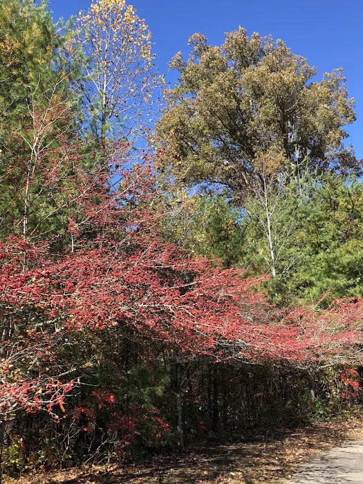 Hendersonville RETIREMENT Mobile Estates Picture 6