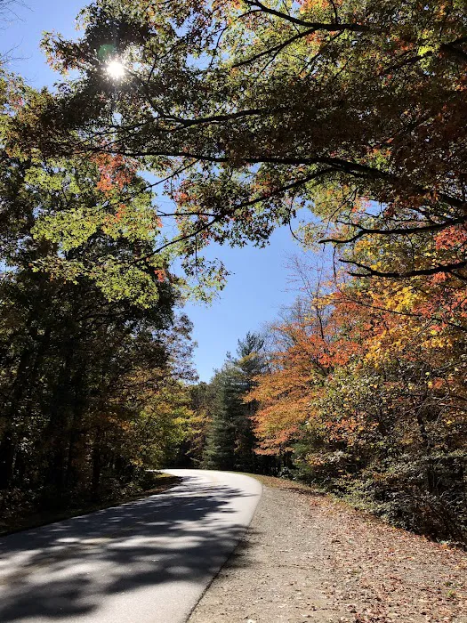 Hendersonville RETIREMENT Mobile Estates Picture 10