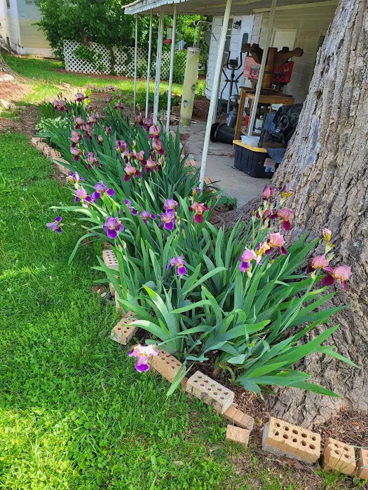 Hendersonville RETIREMENT Mobile Estates Picture 1