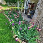 Hendersonville RETIREMENT Mobile Estates