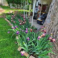 Hendersonville RETIREMENT Mobile Estates ico