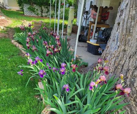 Hendersonville RETIREMENT Mobile Estates