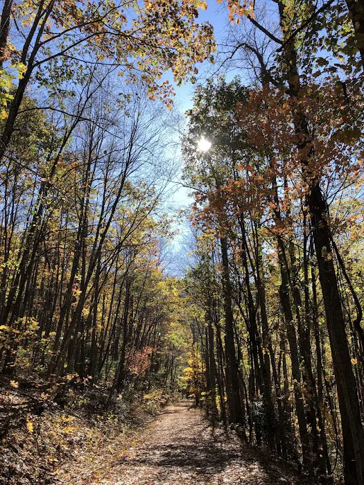 Hendersonville RETIREMENT Mobile Estates Picture 7