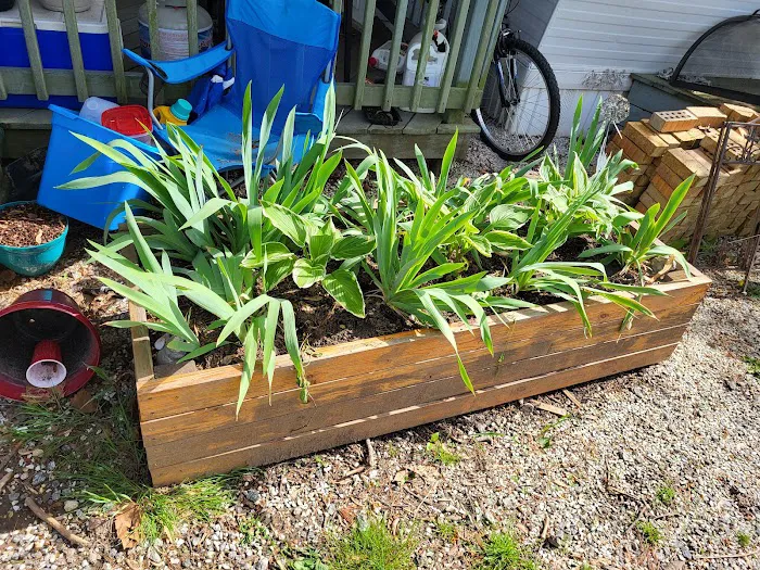 Hendersonville RETIREMENT Mobile Estates Picture 2