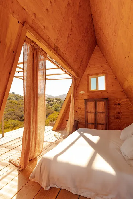 Goats haven lounge Picture 8