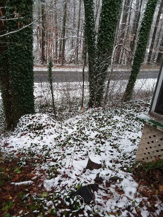 Big Oak Mobile Park Picture 2