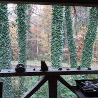 Big Oak Mobile Park ico