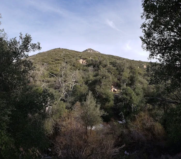 Thousand Trails Oakzanita Springs Picture 7