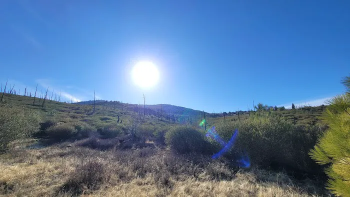 Paso Picacho Campground Picture 8