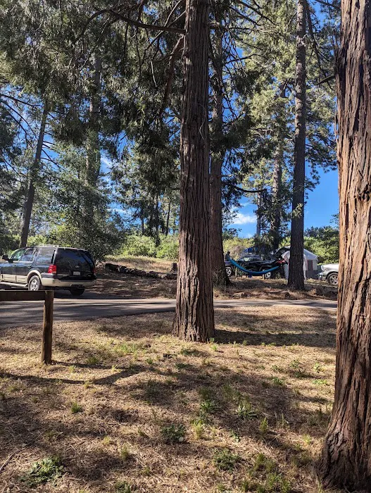 Paso Picacho Campground Picture 10