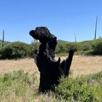 Paso Picacho Campground ico