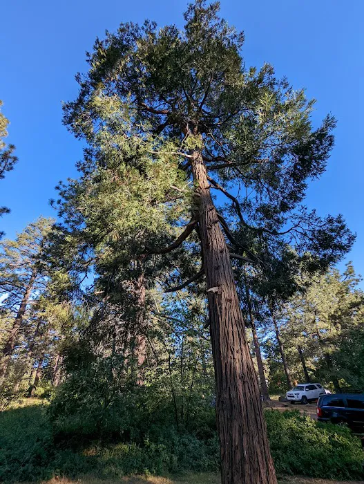 Paso Picacho Campground Picture 4