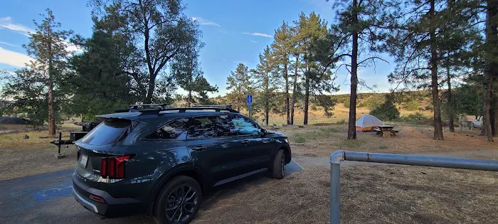 Los Vaqueros Group Horse Camp Picture 6