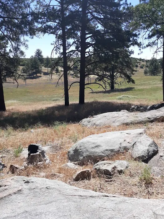 Los Vaqueros Group Horse Camp Picture 5