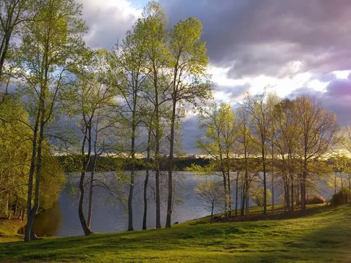 Lake Robinson RV Park Picture 5