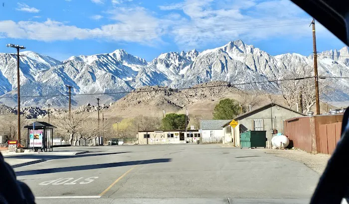 Lone Pine Picture 3