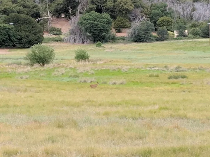 Chambers Park Picture 3