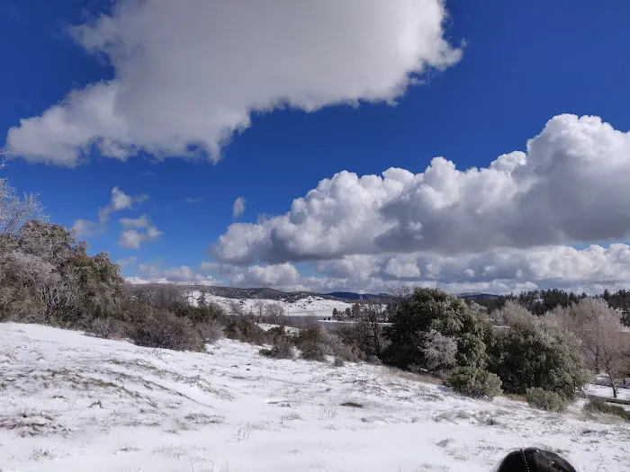 Chambers Park Picture 9