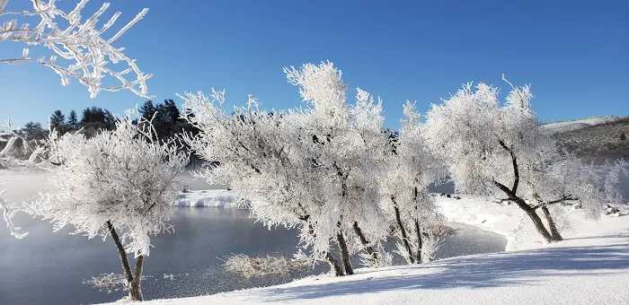 Chambers Park Picture 8