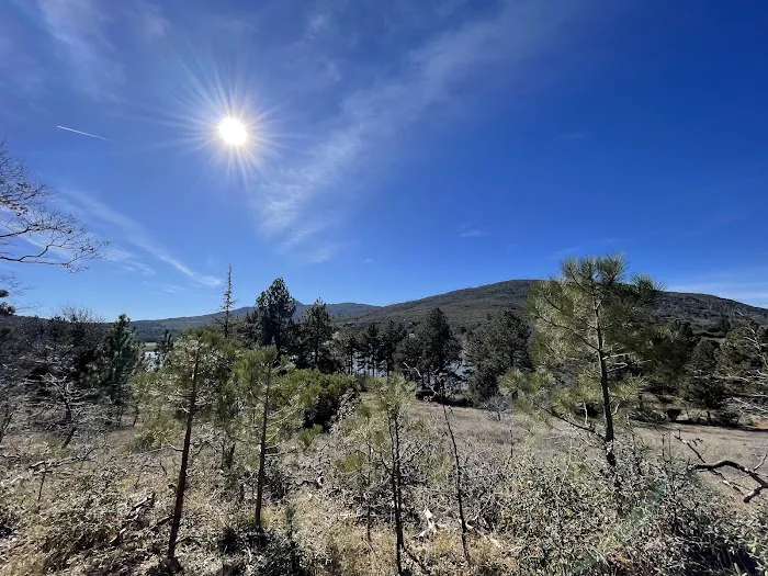 Chambers Park Picture 5