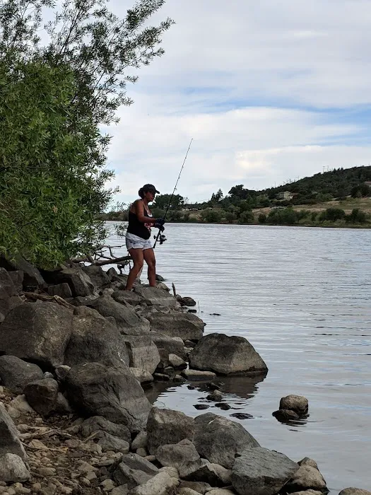 Chambers Park Picture 6