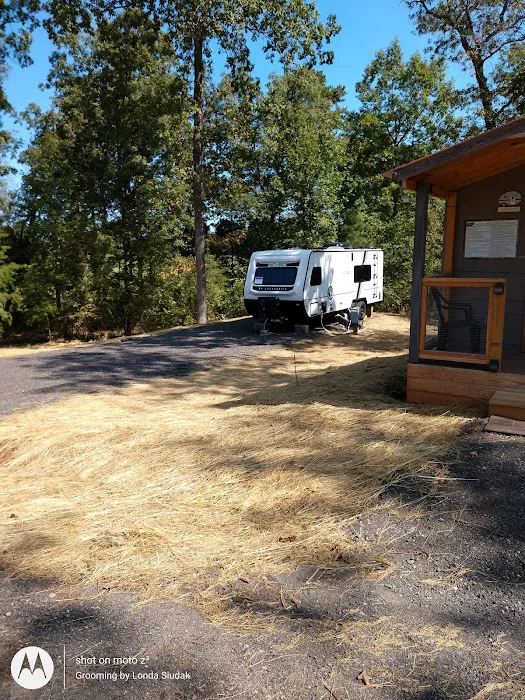 Turkey Trail RV Park Picture 3