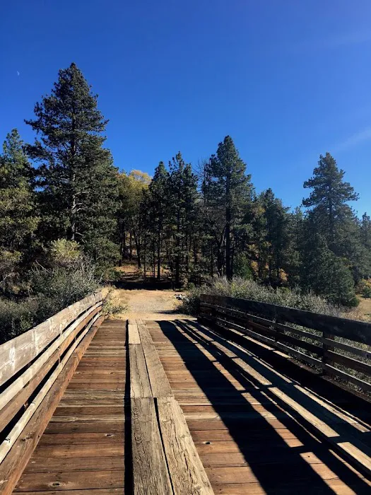 Lake Cuyamaca Recreation & Park Picture 9