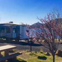 Lake Cuyamaca Recreation & Park ico