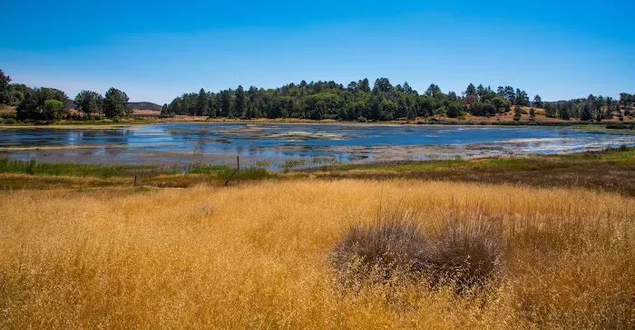 West Shore Picture 1