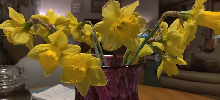 Pebble Springs 55+Manufactured Housing Community Picture 1