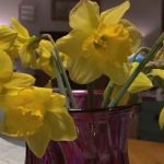 Pebble Springs 55+Manufactured Housing Community