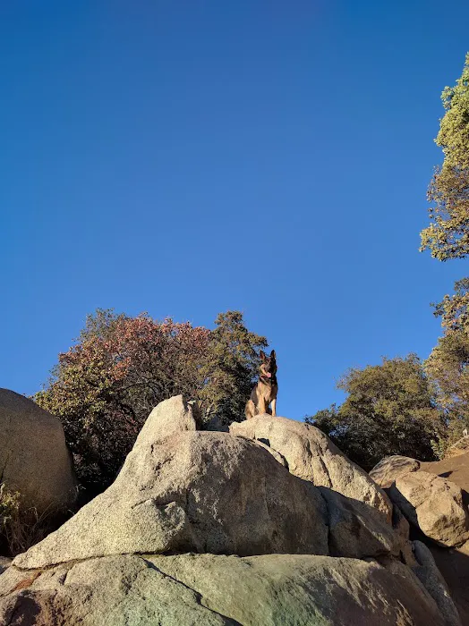 Corral Canyon Campground Picture 10