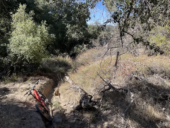 Corral Canyon Campground Picture 8