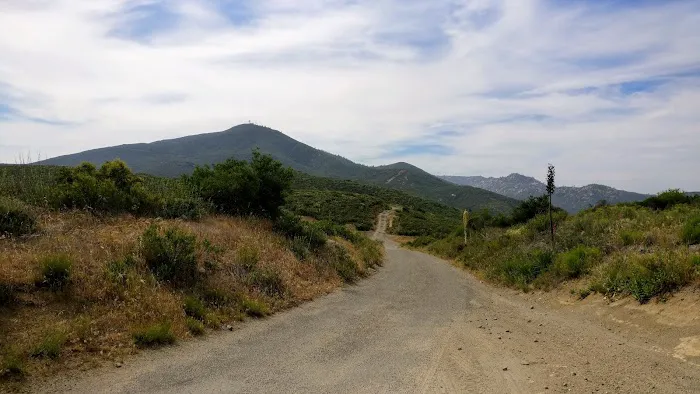 Corral Canyon Campground Picture 9