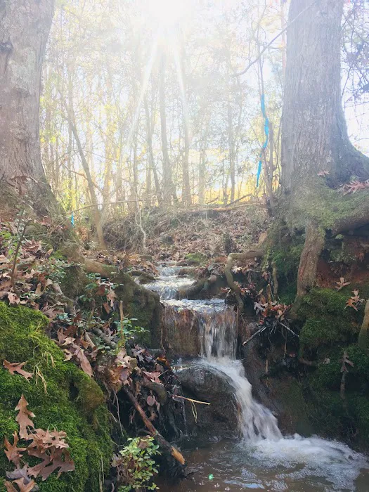 GSP RV Park Picture 8