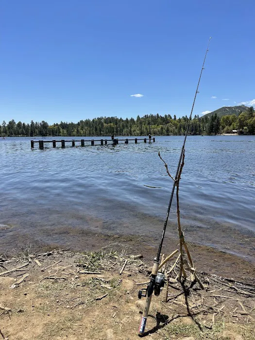 Chambers Park Picture 4