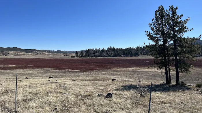 Chambers Park Picture 7