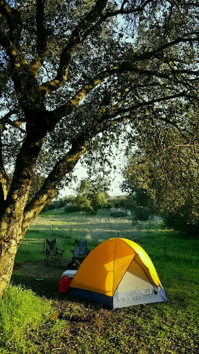 Bobcat Meadow Campground Picture 10
